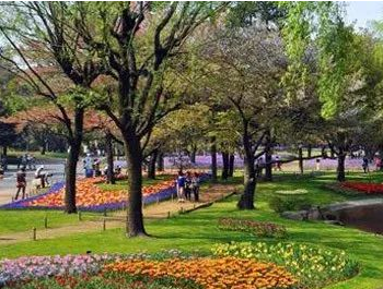 園林綠化工程師證如何考報考要求