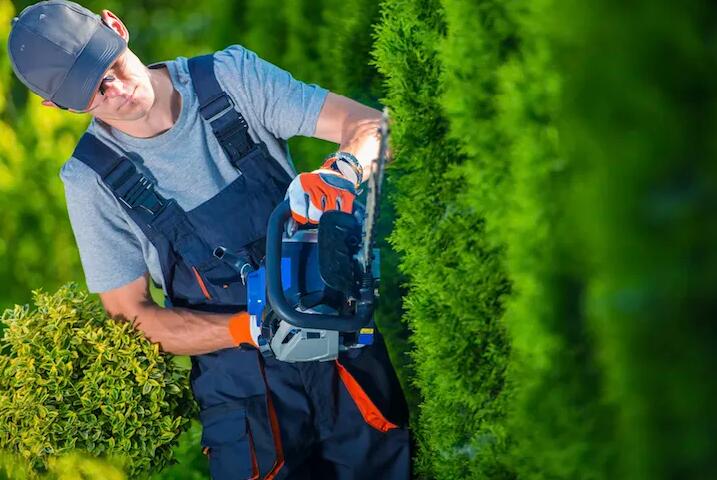 綠化養護包括哪些方面